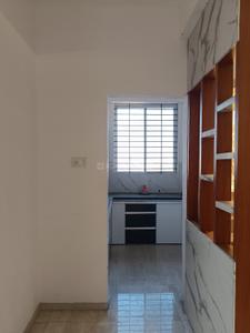 Hall Image of 950 Sq.ft 2 BHK Apartment / Flat for rent in Bhawrasla Indore for Rs. 16000