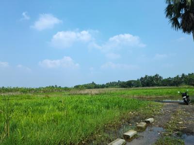 Image of 2880 Sq.ft Residential Plot / Land for sale in Natures Paradise, Joka, Kolkata for Rs. 899999