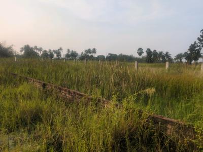 Bhasa Eco Village Plot View 2