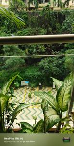 Balcony Image of 1000 Sq.ft 2 BHK Apartment / Flat for rent in K Raheja Vistas, Powai Mumbai for Rs. 90000