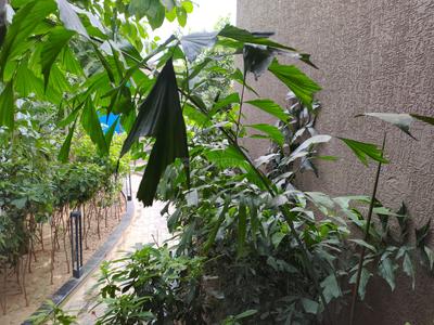 Image of 2034 Sq.ft 3 BHK Apartment / Flat for sale in Swagat Glassglow, Sargasan, Gandhinagar for Rs. 9040000