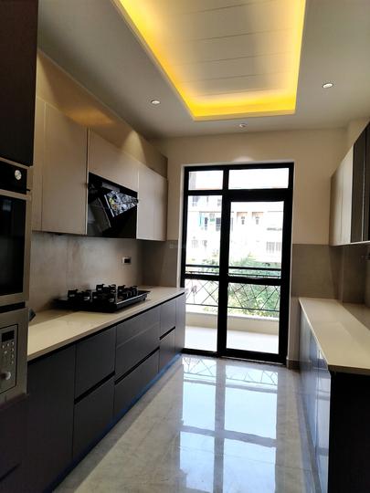 CS Flamingo Floors Main Image 1