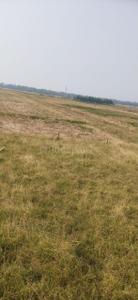 Image of 1300 Sq.ft Residential Plot / Land for sale in Atharanala, Puri for Rs. 1300000