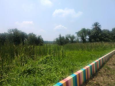 Residential Plot