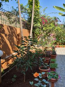 Image of 2800 Sq.ft 4 BHK Villa for sale in Waksai, Lonavala for Rs. 37500000