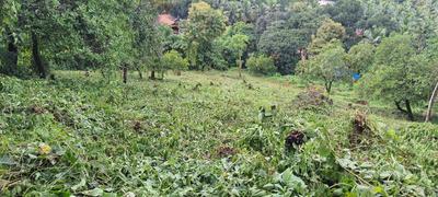 Image of 270 Sq.ft Residential Plot / Land for sale in Boma, Goa for Rs. 2430000