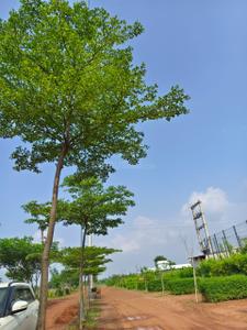 Image of 7222 Sq.ft Residential Plot / Land for sale in Tatibandh, Raipur for Rs. 3257000