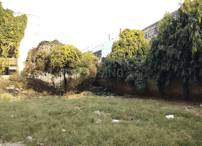 Rampuri Plot View 2