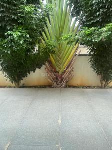 Image of 6825 Sq.ft 5 BHK Apartment / Flat for rent in Rajapushpa Green Dale, Osman Nagar, Hyderabad for Rs. 160000
