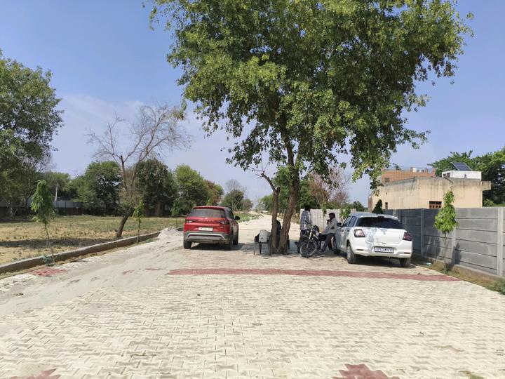 Dharvi Green Main Image 1