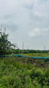 Image of 5000 Sq.ft Residential Plot / Land for sale in Kapasda, Durg for Rs. 2875000