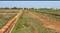 Patrapada Plot View 2