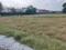 Dasna Plot View 2
