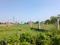 Dream city Plot View 2