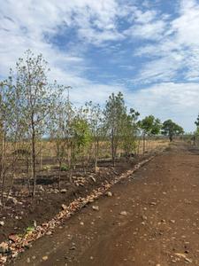 Image of 530 Sq.ft 1 RK Farm House for sale in Wanadongri, Nagpur for Rs. 1680000
