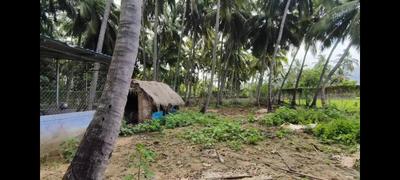 Image of 150 Sq.ft 1 BHK Farm House for sale in Thovalai, Kanyakumari for Rs. 1200000