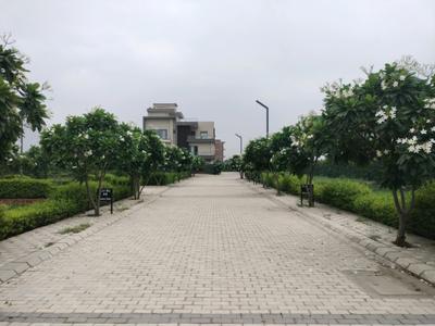 Image of 175 Sq.ft Residential Plot / Land for sale in Mansha Oaks, Sector 98, Faridabad for Rs. 19250000