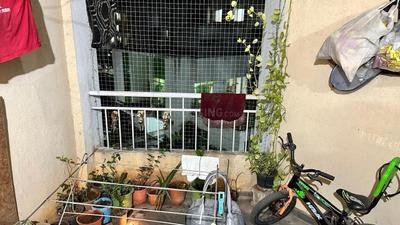 Balcony Image of 950 Sq.ft 2 BHK Apartment / Flat for rent in Manjari Greens Annexe, Hadapsar Pune for Rs. 23000