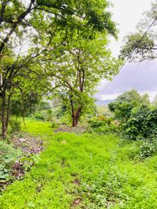 Image of 63000 Sq.ft Residential Plot / Land for sale in Khandala, Lonavala for Rs. 240000000