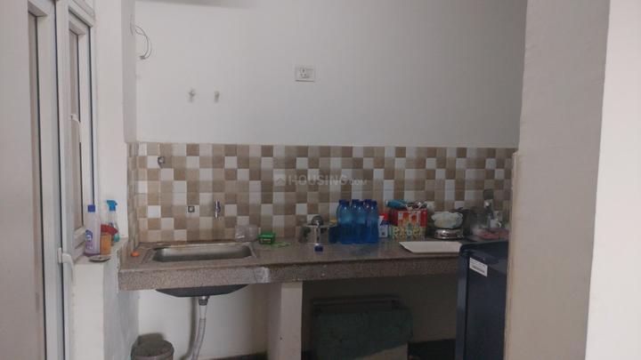 Tulip Yellow Main Image 1