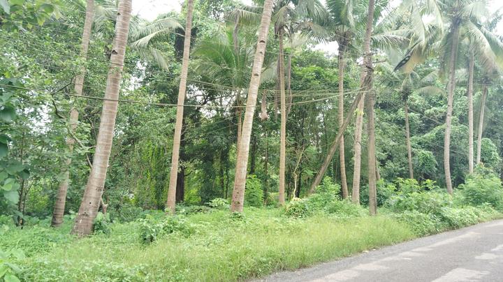 Salcete Main Image 1