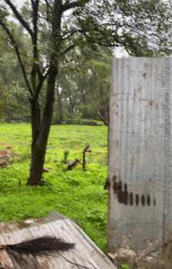 Image of 10000 Sq.ft Residential Plot / Land for sale in S2 Realty Discovery Phase III, Khandala, Lonavala for Rs. 60000000
