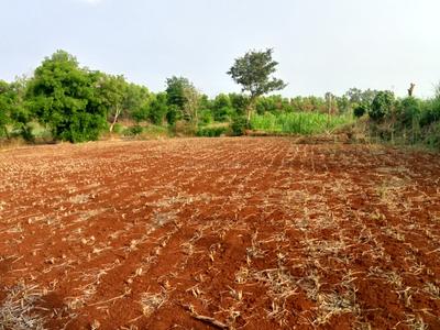 Palaspa Plot View 2