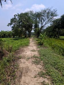 Natures Paradise Internal Roads 1