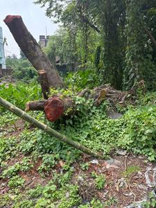 Prantik Palli Plot View 2