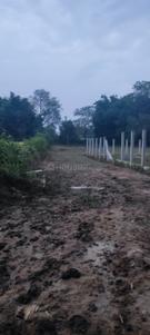 Image of 93600 Sq.ft Residential Plot / Land for sale in Ghatshila, East Singhbhum for Rs. 13000000