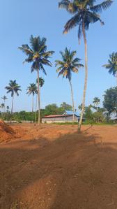 Image of 2200 Sq.ft Residential Plot / Land for sale in Irinjalakuda, Thrissur for Rs. 300000