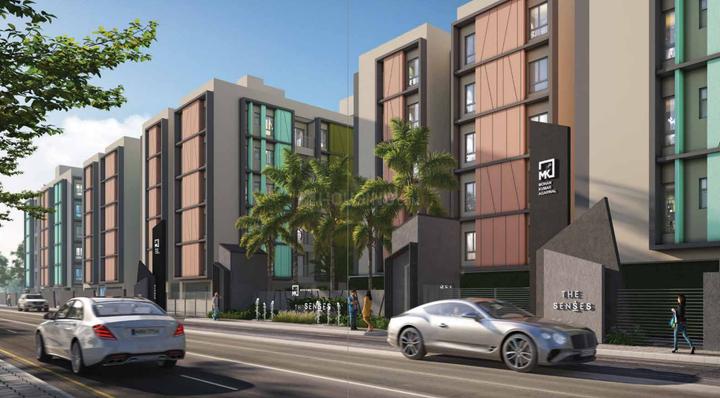 The Senses Main Image 1