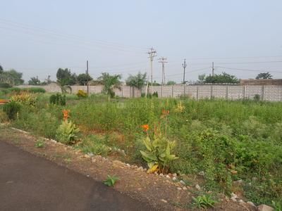 Balaji Town  Plot View 1
