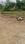 Neelbad  Plot View 2