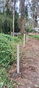 Image of 7480 Sq.ft Residential Plot / Land for sale in Cheroor, Thrissur for Rs. 14250000