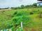Hanspal Plot View 2