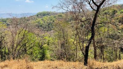 Image of 1089 Sq.ft Residential Plot / Land for sale in Padghawali, Raigad for Rs. 375000