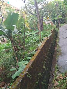 Image of 2160 Sq.ft Residential Plot / Land for sale in Chinar Park, Kolkata for Rs. 6500000