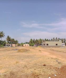 Oory Plot View 3