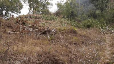 Image of 2178 Sq.ft Residential Plot / Land for sale in Kalimpong Khasmahal, Kalimpong for Rs. 1500000
