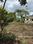 Revenue colony Main Image 1
