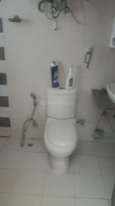 Bathroom Image of 1130 Sq.ft 2 BHK Apartment / Flat for rent in Amrapali Eden Park, Sector 50 Noida for Rs. 32000