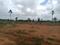 Adibatla Plot View 2