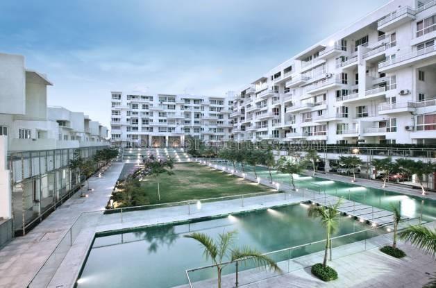 Rohan Mithila Main Image 1