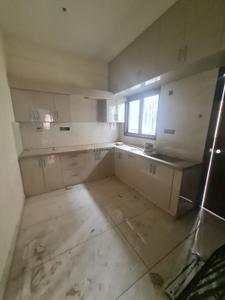 Kitchen Image of 1220 Sq.ft 2 BHK Apartment / Flat for rent in Frazer Town Bengaluru for Rs. 60000
