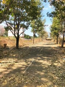 Image of 1500 Sq.ft Residential Plot / Land for sale in JR Coconest Prime, Marsur, Bengaluru for Rs. 7050000