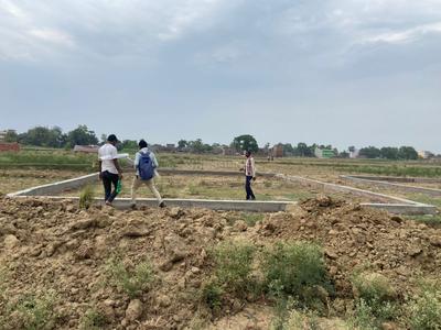 Patligram developers  Plot View 3