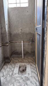 Image of 614 Sq.ft 1 BHK Apartment / Flat for sale in Bhukum, Pune for Rs. 2000000