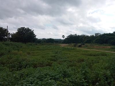 Image of 2670 Sq.ft Residential Plot / Land for sale in Habsiguda, Hyderabad for Rs. 29500000