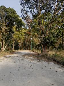 Image of 183 Sq.ft Residential Plot / Land for sale in Malsi, Dehradun for Rs. 20130000